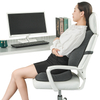 Memory Foam Back Cushion