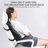 Memory Foam Back Cushion