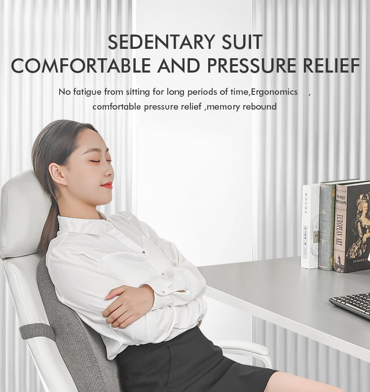 Memory Foam Back Cushion